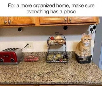 organize.jpg