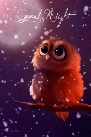 3fa5f11f8a0af5c89c8f4211bcd029fd[1].gif
