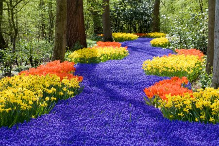 spring-flowers-4993637.jpg