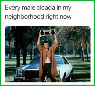 198980759_825607108070878_8471874526957959454_n[1].jpg