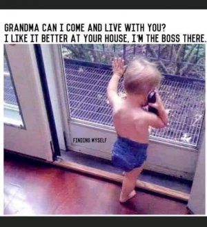 FB_IMG_16235501538797218.jpg
