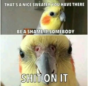 FB_IMG_16234801931529770.jpg