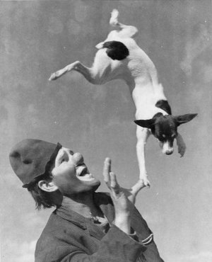 Acrobatic @.jpg
