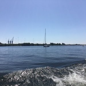 E00FF90A-4FF6-4731-925E-6A0357721885.jpeg