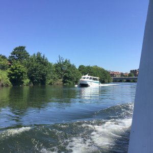 451EC202-00D8-42B0-B5C8-38621D5CC02D.jpeg
