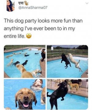 86908231[1].jpg