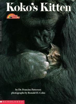 koko.jpg