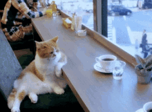 tenor (2).gif