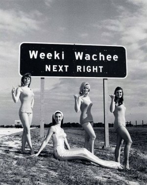 weeki.jpg