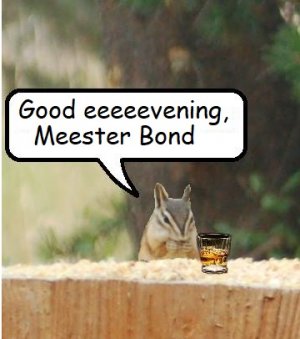 bond.jpg bond.jpg