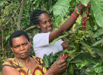 Ugandan-Coffee-Consumption-2.jpg