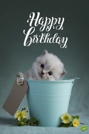 The Best Birthday Wishes to Make Someone's Birthday Special.jpeg