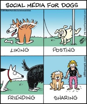 doggie social.jpg