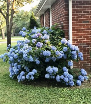 7B7210D2-2F38-4732-B0B3-83ED11A0BA1B.jpeg 7B7210D2-2F38-4732-B0B3-83ED11A0BA1B.jpeg