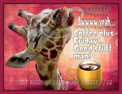 26bf5706678f0e6cfc2b63c04852dcef[1].jpg