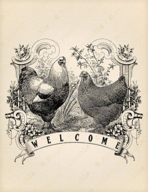 Instant Download Printable Chicken Welcome FARM Rooster Hen iron on Fabric Image Transfer Cou...jpeg