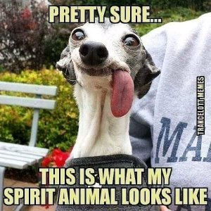 FB_IMG_16240463272063589.jpg