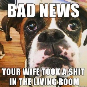 FB_IMG_16239870360659253.jpg