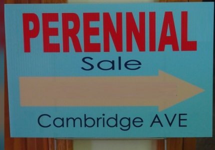 sale2.jpg