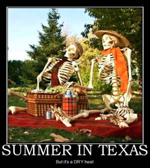 df172c96ba2ab391916b3da46b6d46e6--halloween-skeletons-demotivational-posters.jpg