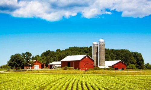 COVID-19-Relief_Small-Farms-.jpg