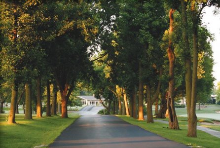 oak entrance arbor day.jpg
