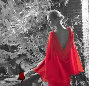 summer red 1.jpg
