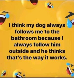 FB_IMG_16243181500005575.jpg