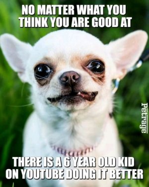 FB_IMG_16243180747633569.jpg