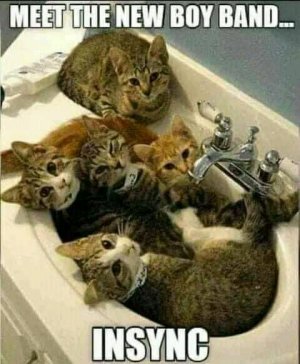 FB_IMG_16243184123861926.jpg