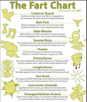 fart chart.jpg