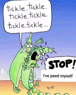 FB_IMG_16243219680271010.jpg