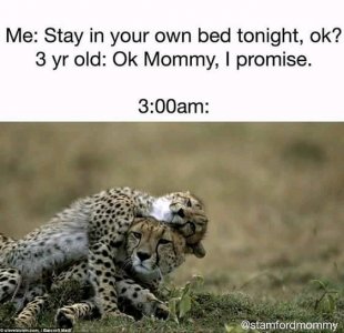 FB_IMG_16243217811965702.jpg