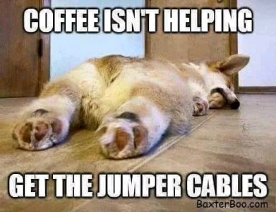 FB_IMG_16243217437325445.jpg