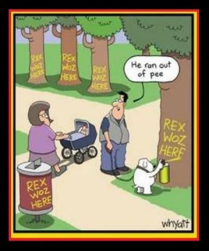 No pee.jpg