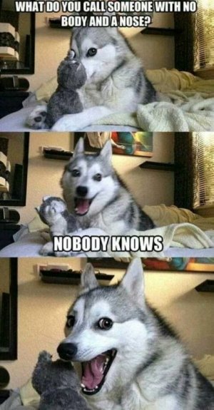 FB_IMG_16243216373245684.jpg
