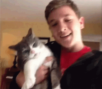 tumblr_dca3595a784eadc630fa452cf4f62973_05d0d9c0_400.gif