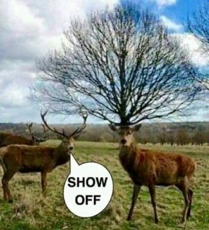 FB_IMG_16243214695967229.jpg
