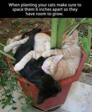FB_IMG_16243214509989340.jpg