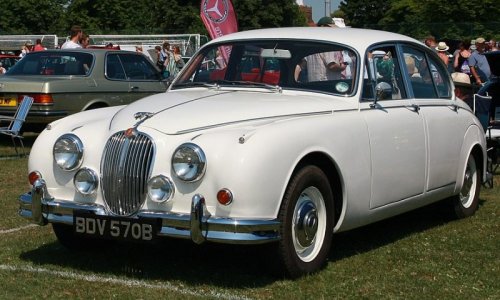 Jaguar2.jpg