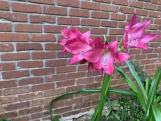 D1789B56-8354-4E18-A859-6AE6C8B7BB0B.jpeg