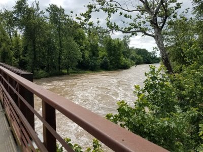 tributary.jpg