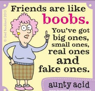 AA friends.jpg