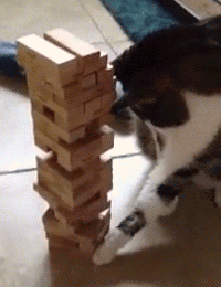 RLqq9Pp.gif
