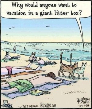 FB_IMG_16243220165290777.jpg