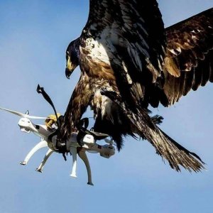 drone.jpg drone.jpg
