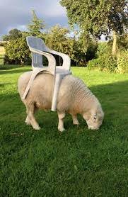 1624718750139.jpeg 1624718750139.jpeg