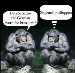Bra.jpg
