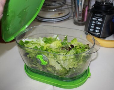 salad_keeper0.JPG