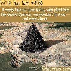 146379039_3590108257772361_2873396032653535394_n.jpg